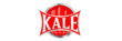 Открытие замка Kale в Светлом